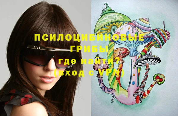 герыч Арсеньев
