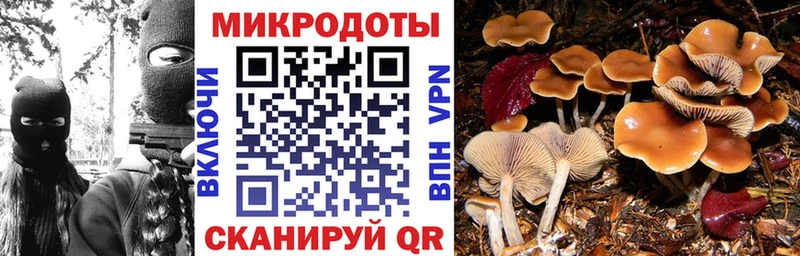 Галлюциногенные грибы Psilocybe  гидра вход  Калязин  купить наркотики цена 